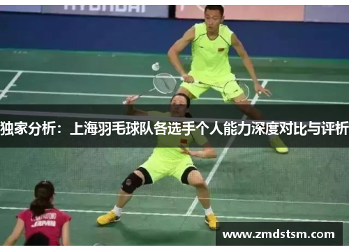 独家分析：上海羽毛球队各选手个人能力深度对比与评析