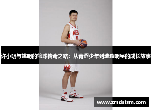 许小明与姚明的篮球传奇之路：从青涩少年到璀璨明星的成长故事